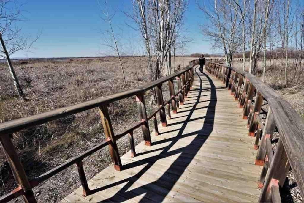 Apto. Singular En La Mancha Banco De Inversiones Argamasilla de Alba Dış mekan fotoğraf